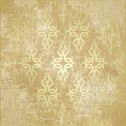 grunge texture with elegant pattern vector image