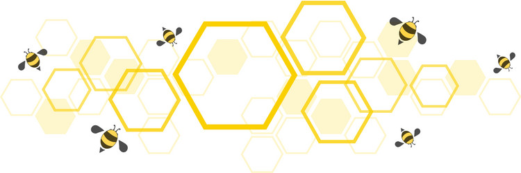 shape hexagon concept design abstract vector image