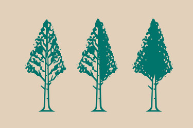 tree icon with different amount of foliage vector image