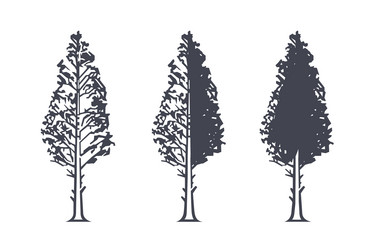 tree icon with different amount of foliage vector image