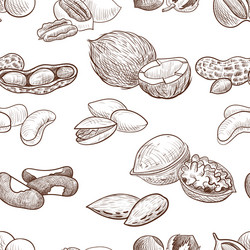 Seamless pattern with drawing nuts vector