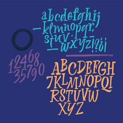 handwritten font script latin calligraphic set vector image