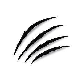 monster claw mark scratches predator 3d nails Vector Image