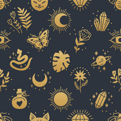elegant celestial seamless pattern with boho vector image