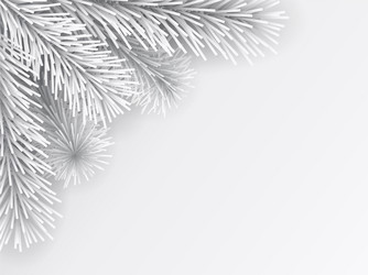 artificial christmas tree branch white vector