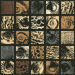 Ancient Seashell Pattern vector image