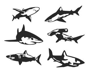 Shark Silhouette Collection Vector Image