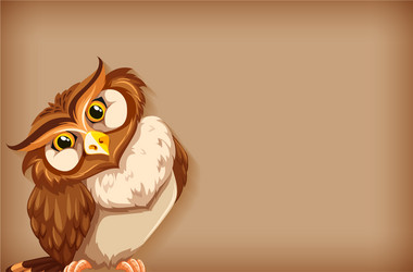 background template with plain color and owl vector image