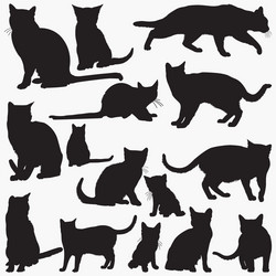 Russian Blue Cat Silhouettes Vector Image