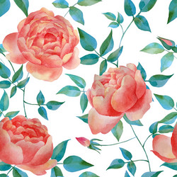 Watercolor Rose Pattern Vector Image