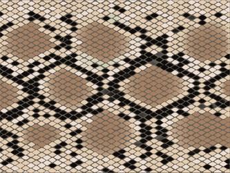 Snake Scale Pattern vector image