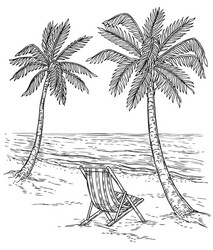 Tropical Palm Beach Sketch Vector Image