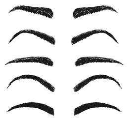 fashion woman eyebrow sketch isolated set on white vector