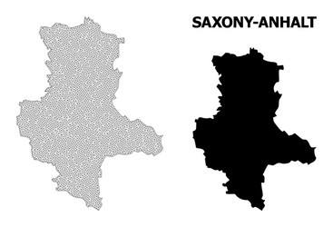 polygonal network mesh high detail map vector image
