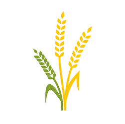 cereal icon on background for graphic and web vector image