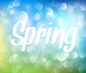 Spring Abstract Bokeh Background vector image