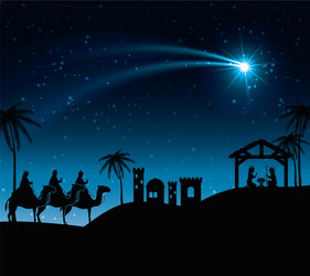 Three Wise Men with Donkey at Nativity Scene Vector Image
