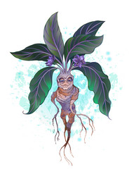 Mandrake Plant Stock Illustrations – 263 Mandrake Plant Stock