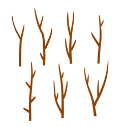 Tree branch set of different brown sticks vector