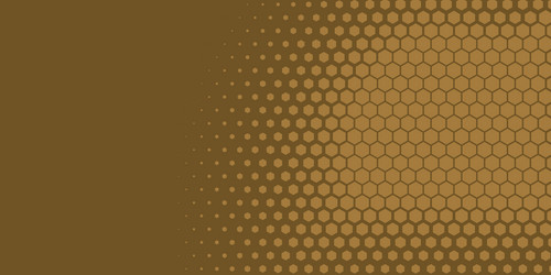 geometric abstract hexagon two color background vector image