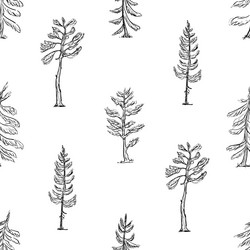 a seamless pattern featuring spruce and pine trees vector image