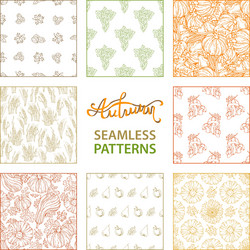 set of seamless linear autumn patterns vector image