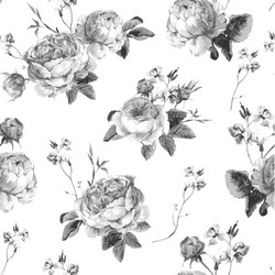 Vintage Black & White Roses Vector Image