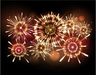 holiday firework vector