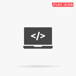 programming flat icon vector image