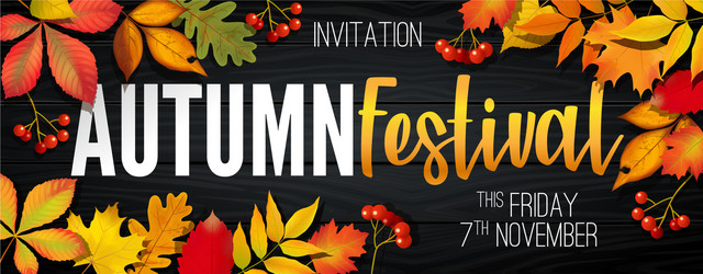 Autumn Festival Invitation - November Vector Image