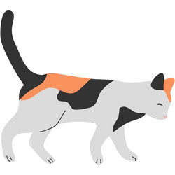 cat domestic animal walking isolated icon vector