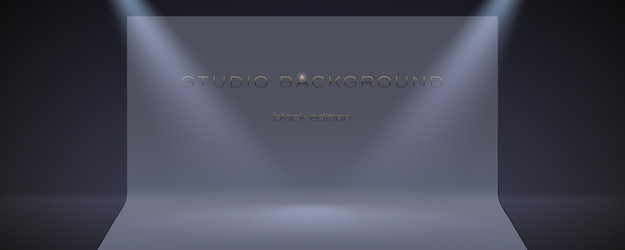 empty studio in low key with spotlights beams vector image