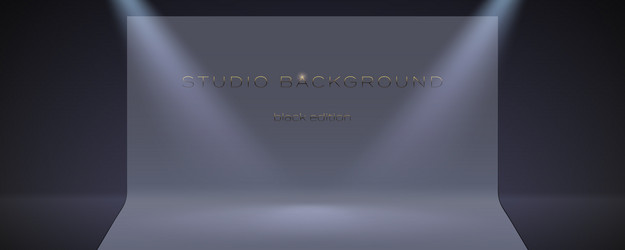 empty studio in low key with spotlights beams vector