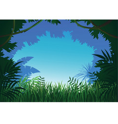 Jungle background Royalty Free Vector Image - VectorStock