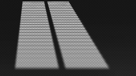 light effect shadow overlay from blind isolated vector image
