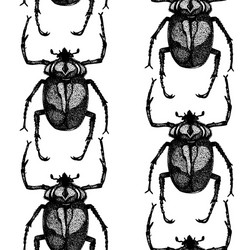 seamless background with hand drawn insect vector image