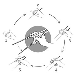 Chopstick Usage Guide vector image