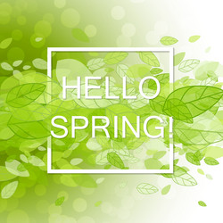 spring abstract background vector image