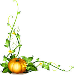 Cartoon Pumpkin Vines Vector Images (over 110) Cartoon Pumpkin Vines Vector Images (over 110)