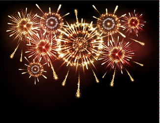 Holiday firework vector