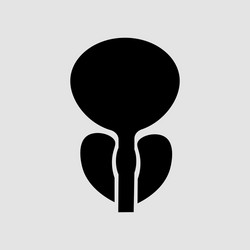 Normal prostate and acute prostatitis medical icon vector