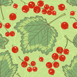 Red currants seamless pattern vector