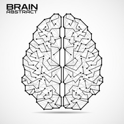 polygonal abstract brain with connected lines vector image