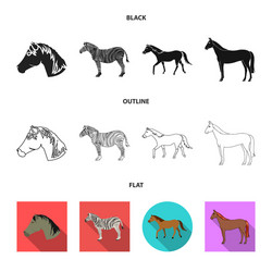 trot and running sign set vector image