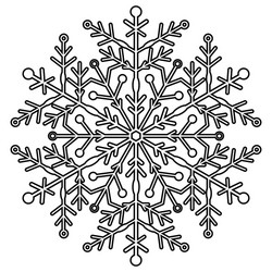 pretty round snowflake vector image