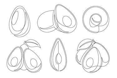 avocado continuous one line drawing icon set vector image
