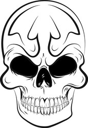 skull Vector Image