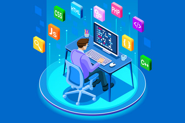 Software Development Team vector image