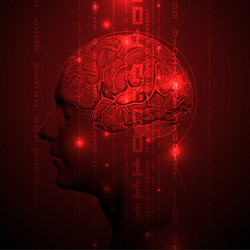 active human brain with binary digits vector image