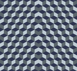 Geometric Cube Pattern vector image